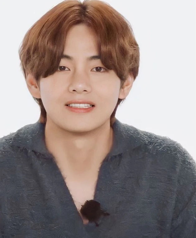 Taehyung-Inspired Grey Wide Collar Mink Sweater – BTS Edition