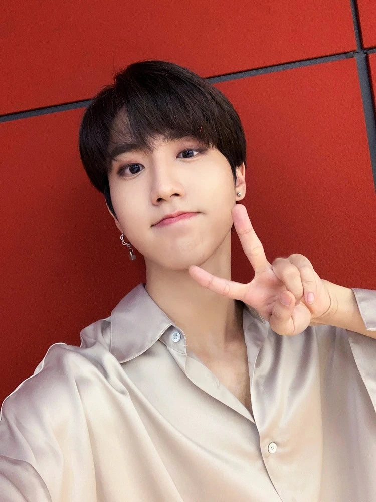 Silver lock Chain Earrings | Jisung – Stray Kids